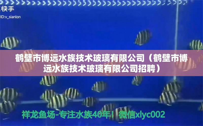 鹤壁市博远水族技术玻璃有限公司（鹤壁市博远水族技术玻璃有限公司招聘）