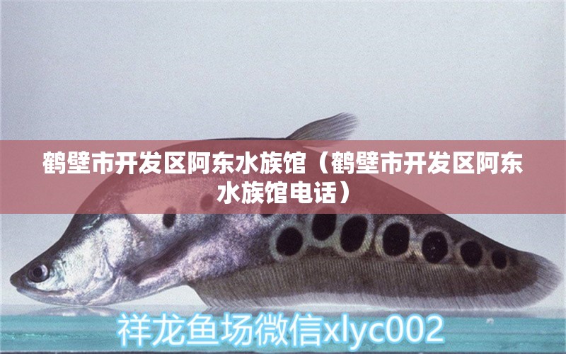 鹤壁市开发区阿东水族馆（鹤壁市开发区阿东水族馆电话）