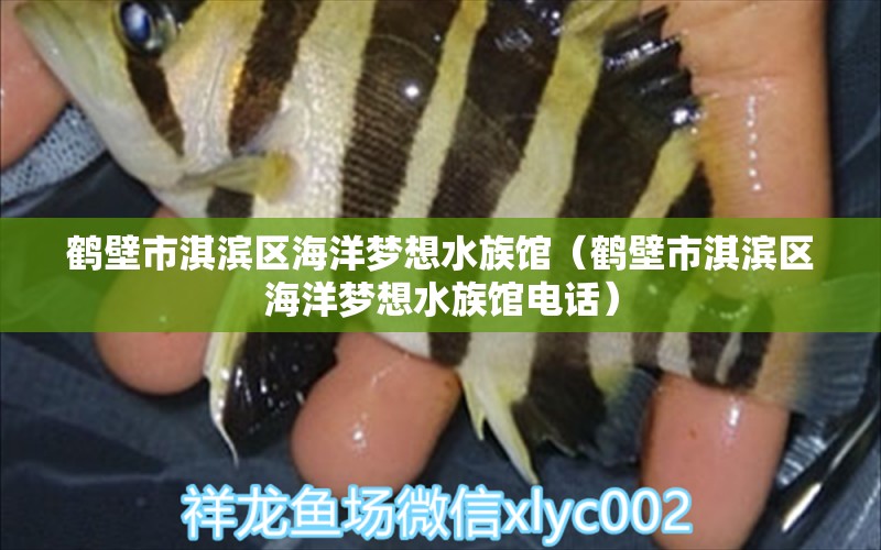 鹤壁市淇滨区海洋梦想水族馆（鹤壁市淇滨区海洋梦想水族馆电话）