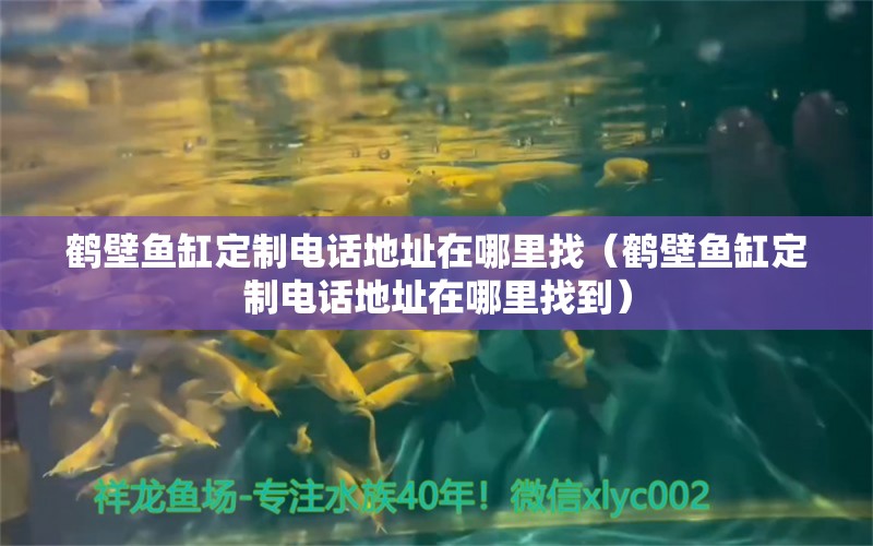 鹤壁鱼缸定制电话地址在哪里找（鹤壁鱼缸定制电话地址在哪里找到） 罗汉鱼