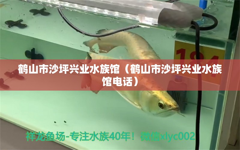 鹤山市沙坪兴业水族馆（鹤山市沙坪兴业水族馆电话） 全国水族馆企业名录