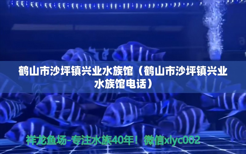 鹤山市沙坪镇兴业水族馆（鹤山市沙坪镇兴业水族馆电话） 全国水族馆企业名录