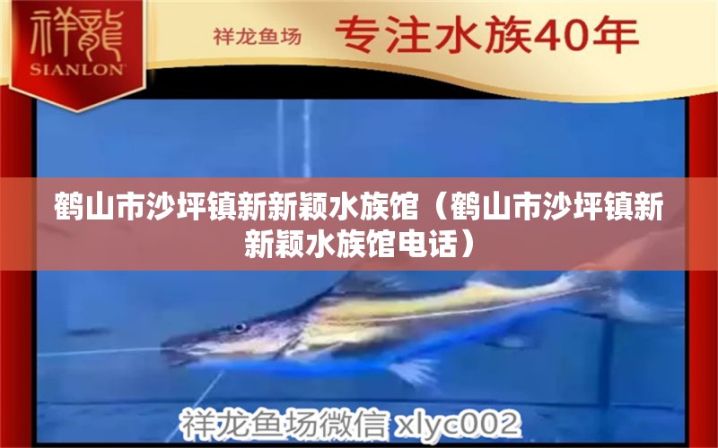 鹤山市沙坪镇新新颖水族馆（鹤山市沙坪镇新新颖水族馆电话）