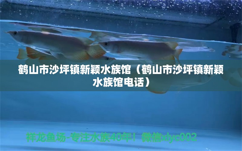 鹤山市沙坪镇新颖水族馆（鹤山市沙坪镇新颖水族馆电话）