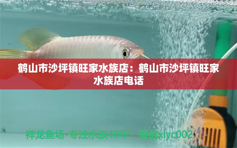 鹤山市沙坪镇旺家水族店：鹤山市沙坪镇旺家水族店电话