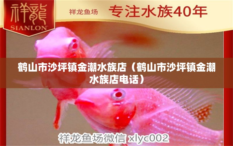 鹤山市沙坪镇金潮水族店（鹤山市沙坪镇金潮水族店电话） 全国水族馆企业名录