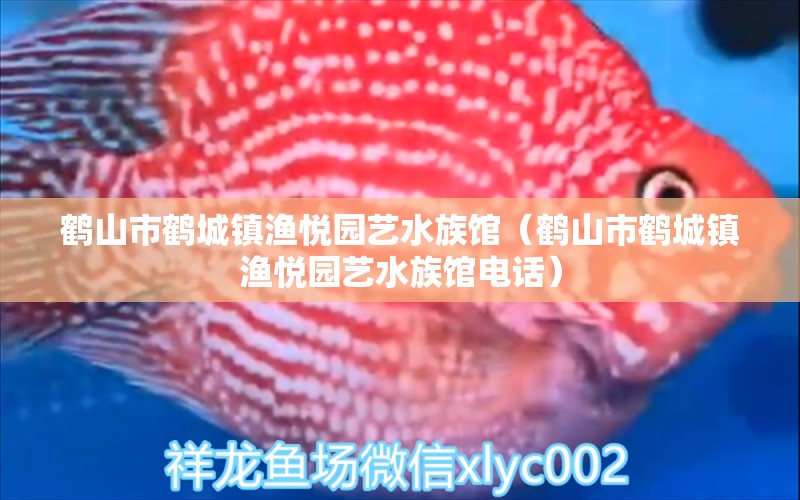 鹤山市鹤城镇渔悦园艺水族馆（鹤山市鹤城镇渔悦园艺水族馆电话）