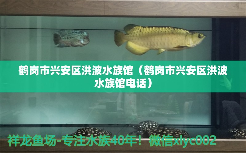 鹤岗市兴安区洪波水族馆（鹤岗市兴安区洪波水族馆电话） 全国水族馆企业名录