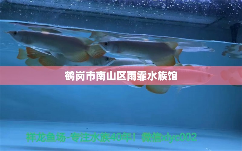 鹤岗市南山区雨霏水族馆 全国水族馆企业名录