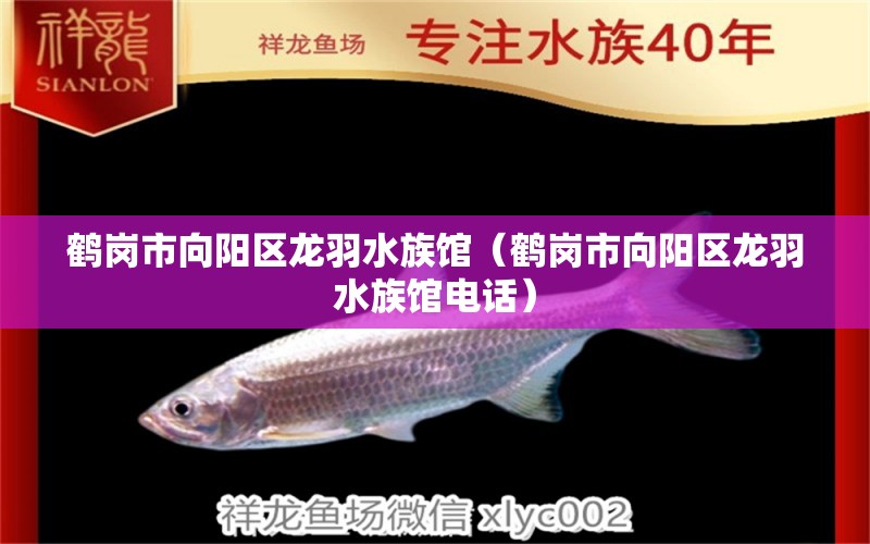 鹤岗市向阳区龙羽水族馆（鹤岗市向阳区龙羽水族馆电话） 全国水族馆企业名录