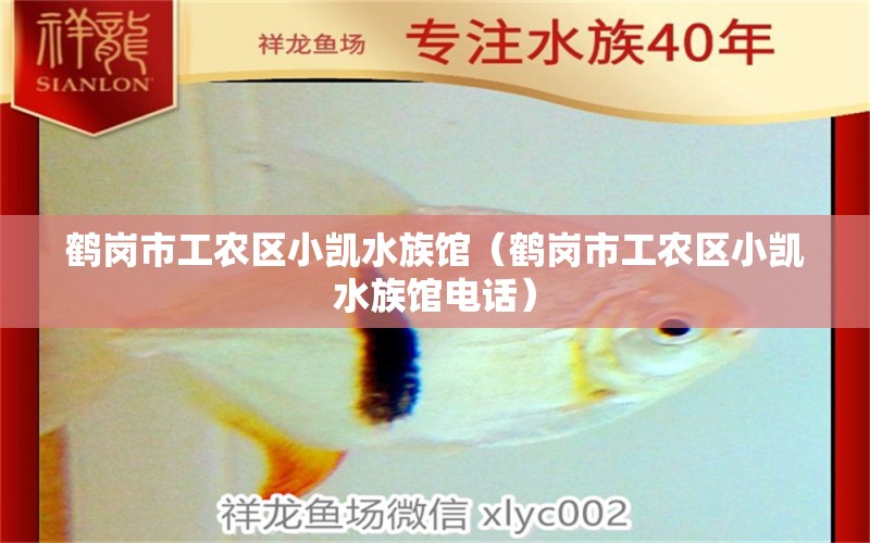 鹤岗市工农区小凯水族馆（鹤岗市工农区小凯水族馆电话） 全国水族馆企业名录