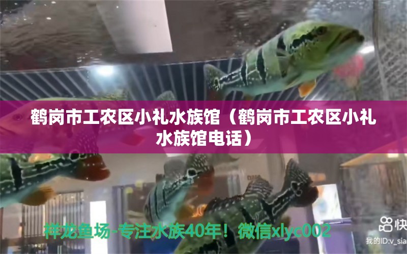 鹤岗市工农区小礼水族馆（鹤岗市工农区小礼水族馆电话）