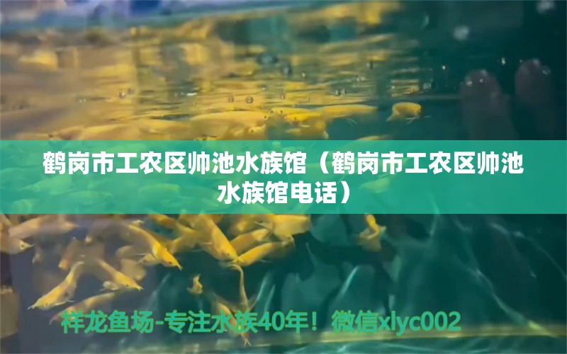 鹤岗市工农区帅池水族馆（鹤岗市工农区帅池水族馆电话）