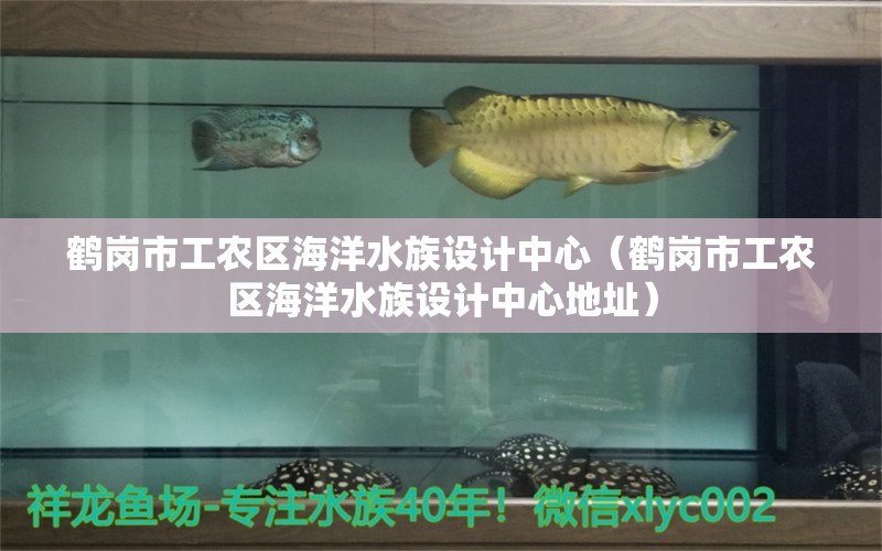 鹤岗市工农区海洋水族设计中心（鹤岗市工农区海洋水族设计中心地址）