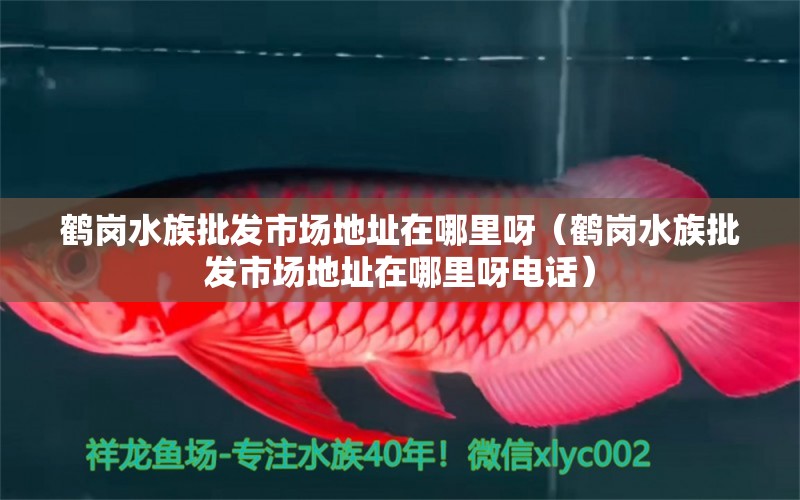 鹤岗水族批发市场地址在哪里呀（鹤岗水族批发市场地址在哪里呀电话）