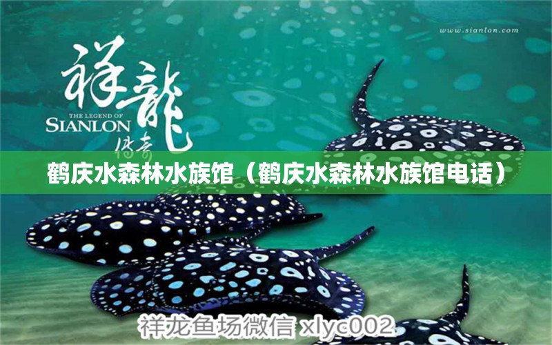 鹤庆水森林水族馆（鹤庆水森林水族馆电话）