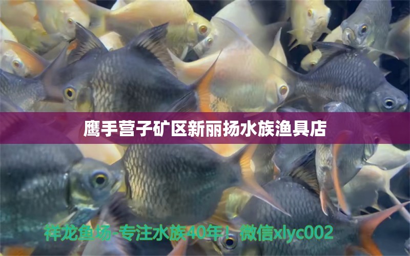 鹰手营子矿区新丽扬水族渔具店 全国水族馆企业名录