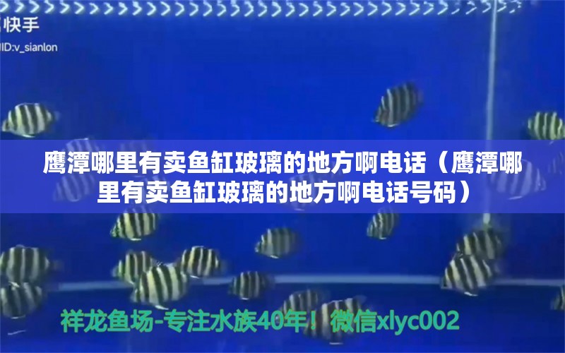 鹰潭哪里有卖鱼缸玻璃的地方啊电话（鹰潭哪里有卖鱼缸玻璃的地方啊电话号码）