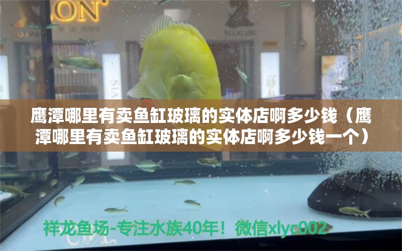 鹰潭哪里有卖鱼缸玻璃的实体店啊多少钱（鹰潭哪里有卖鱼缸玻璃的实体店啊多少钱一个） 祥龙水族医院