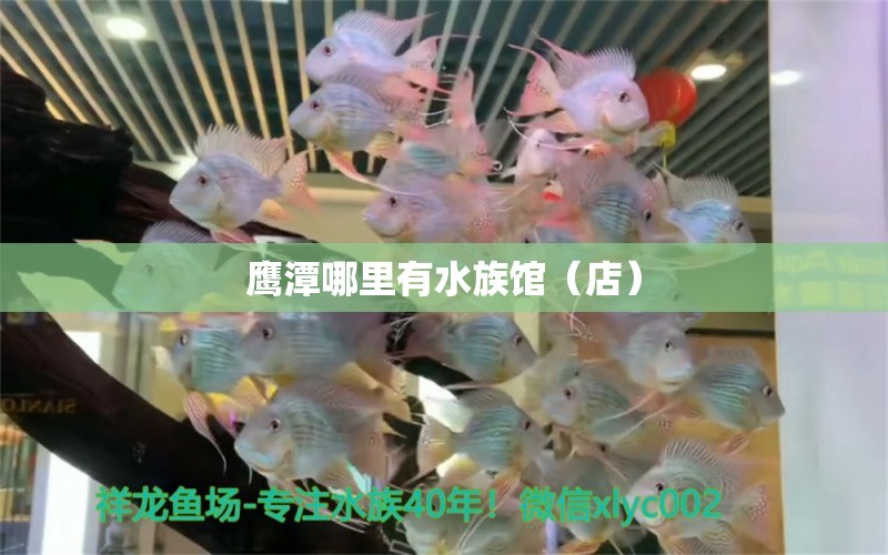 鹰潭哪里有水族馆（店）