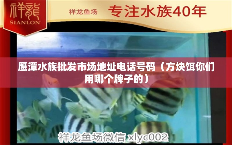 鹰潭水族批发市场地址电话号码（方块饵你们用哪个牌子的） 观赏鱼水族批发市场 第1张