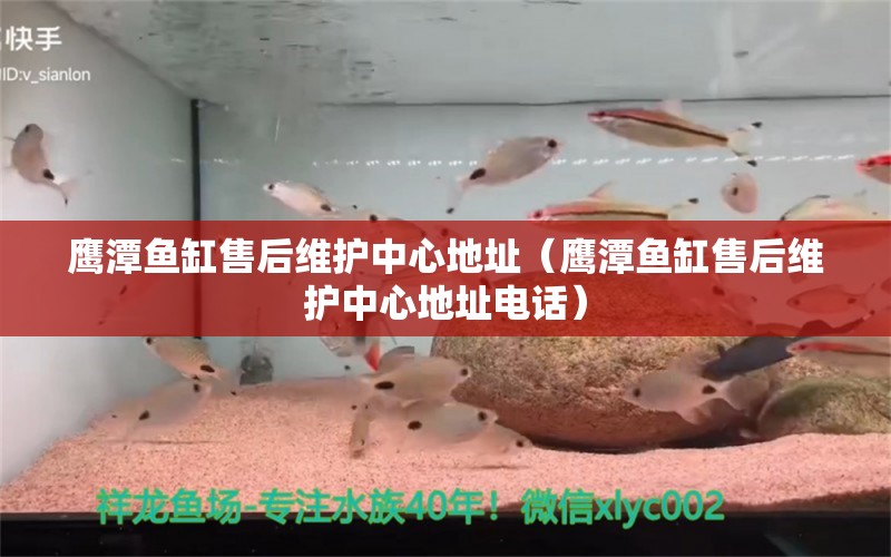 鹰潭鱼缸售后维护中心地址（鹰潭鱼缸售后维护中心地址电话）