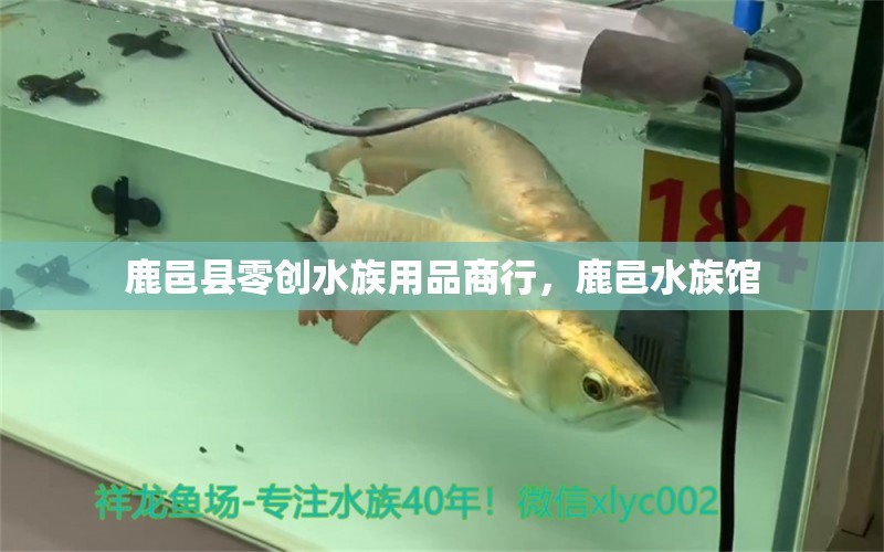 鹿邑县零创水族用品商行，鹿邑水族馆