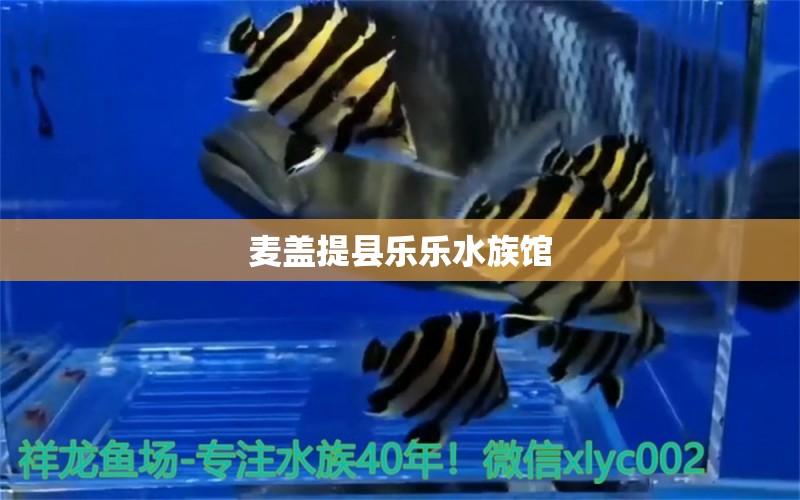 麦盖提县乐乐水族馆