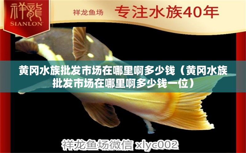 黄冈水族批发市场在哪里啊多少钱（黄冈水族批发市场在哪里啊多少钱一位）