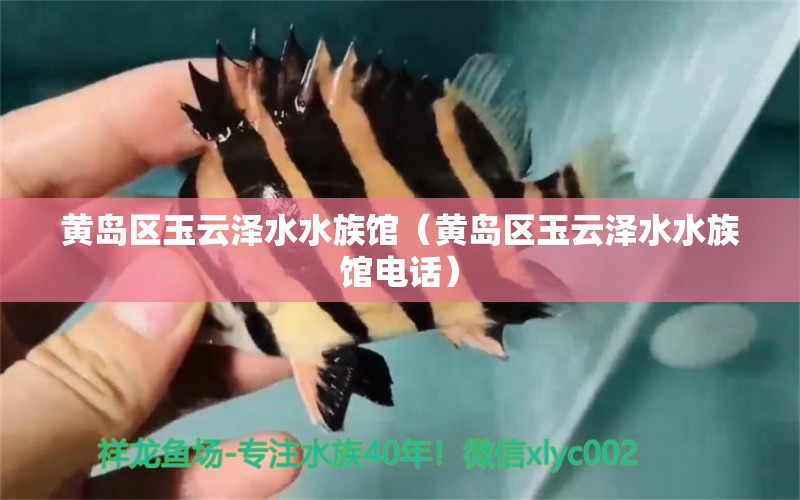 黄岛区玉云泽水水族馆（黄岛区玉云泽水水族馆电话） 全国水族馆企业名录