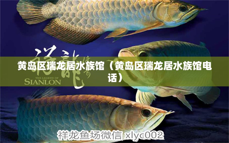 黄岛区瑞龙居水族馆（黄岛区瑞龙居水族馆电话） 全国水族馆企业名录