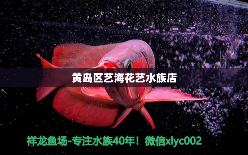 黄岛区艺海花艺水族店 全国水族馆企业名录