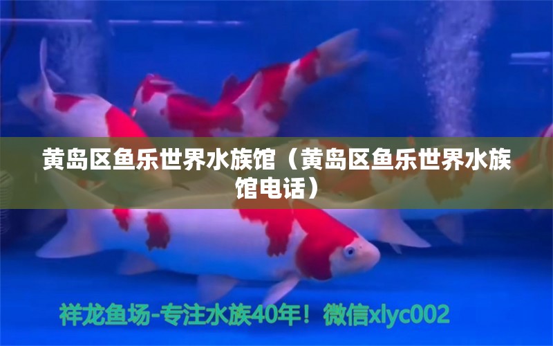 黄岛区鱼乐世界水族馆（黄岛区鱼乐世界水族馆电话） 全国水族馆企业名录