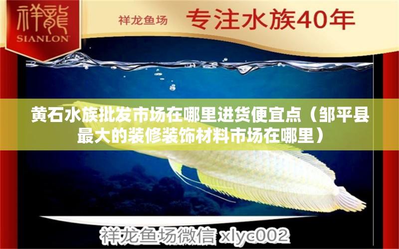 黄石水族批发市场在哪里进货便宜点（邹平县最大的装修装饰材料市场在哪里）