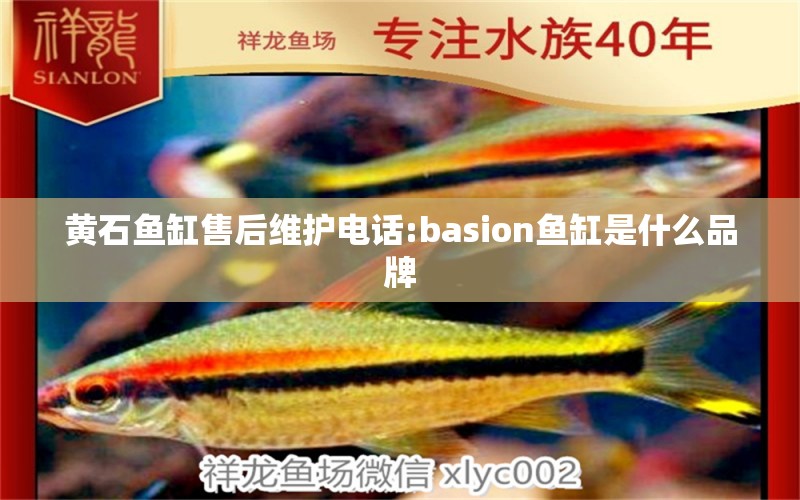 黄石鱼缸售后维护电话:basion鱼缸是什么品牌