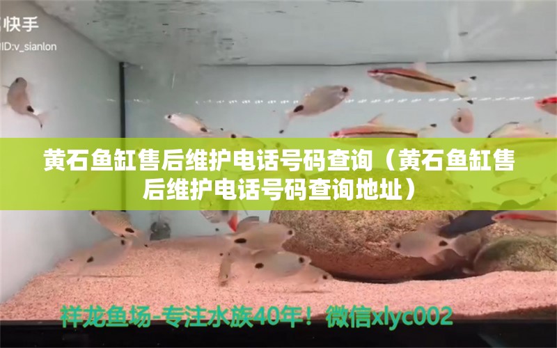 黄石鱼缸售后维护电话号码查询（黄石鱼缸售后维护电话号码查询地址）