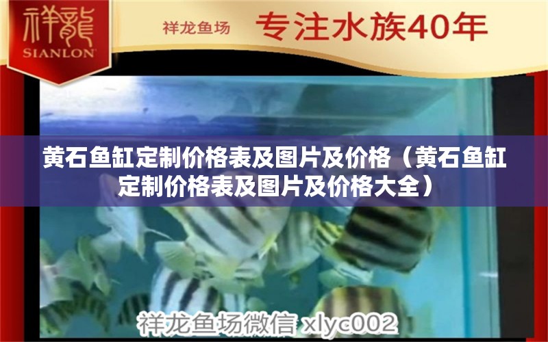 黄石鱼缸定制价格表及图片及价格（黄石鱼缸定制价格表及图片及价格大全） 苏虎苗（苏门答腊虎鱼苗）