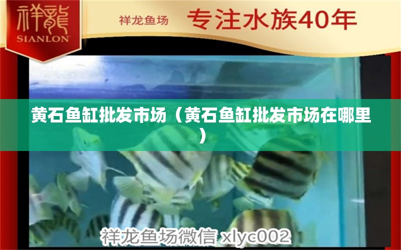 黄石鱼缸批发市场（黄石鱼缸批发市场在哪里） 观赏鱼水族批发市场