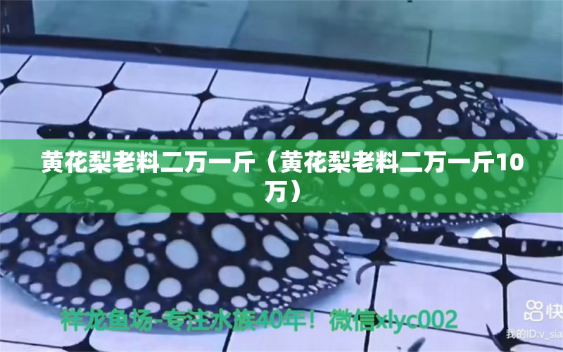 黄花梨老料二万一斤（黄花梨老料二万一斤10万）