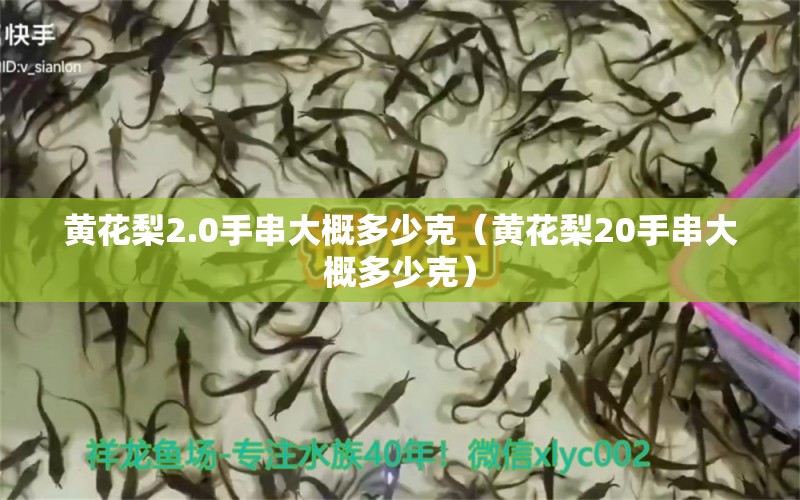 黄花梨2.0手串大概多少克（黄花梨20手串大概多少克）