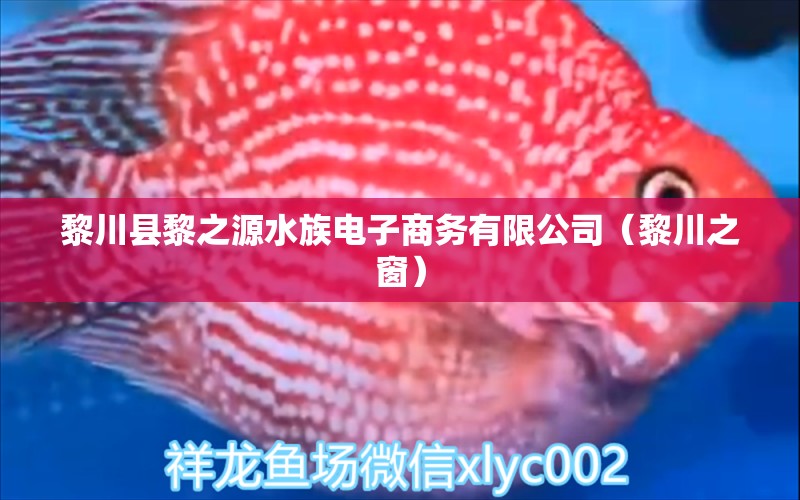 黎川县黎之源水族电子商务有限公司（黎川之窗） 全国水族馆企业名录