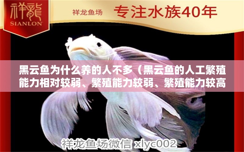 黑云鱼为什么养的人不多（黑云鱼的人工繁殖能力相对较弱、繁殖能力较弱、繁殖能力较高）