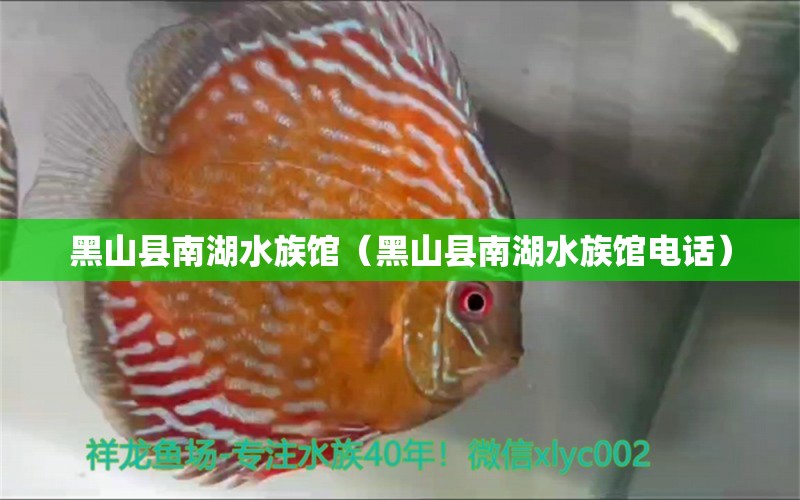 黑山县南湖水族馆（黑山县南湖水族馆电话） 全国水族馆企业名录