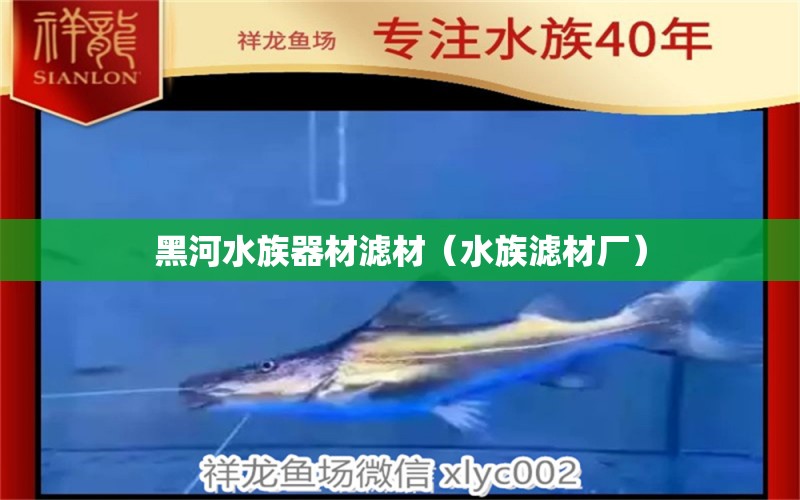 黑河水族器材滤材（水族滤材厂） 成吉思汗鲨（球鲨）鱼