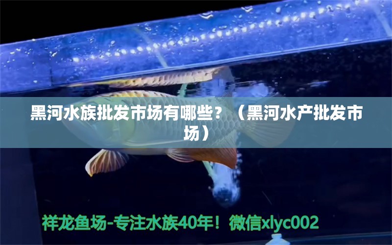 黑河水族批发市场有哪些？（黑河水产批发市场） 观赏鱼水族批发市场