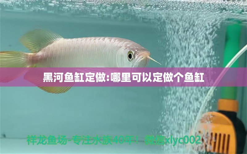 黑河鱼缸定做:哪里可以定做个鱼缸