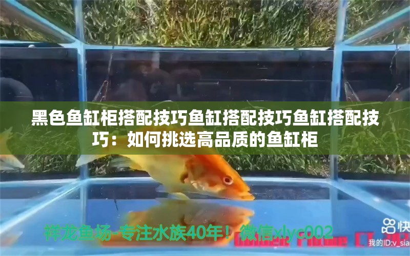 黑色鱼缸柜搭配技巧鱼缸搭配技巧鱼缸搭配技巧：如何挑选高品质的鱼缸柜 鱼缸百科 第2张