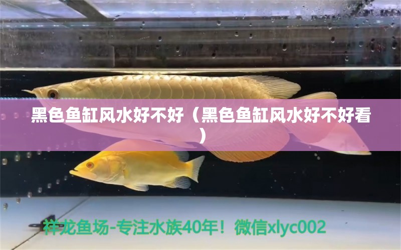 黑色鱼缸风水好不好（黑色鱼缸风水好不好看） 鱼缸风水