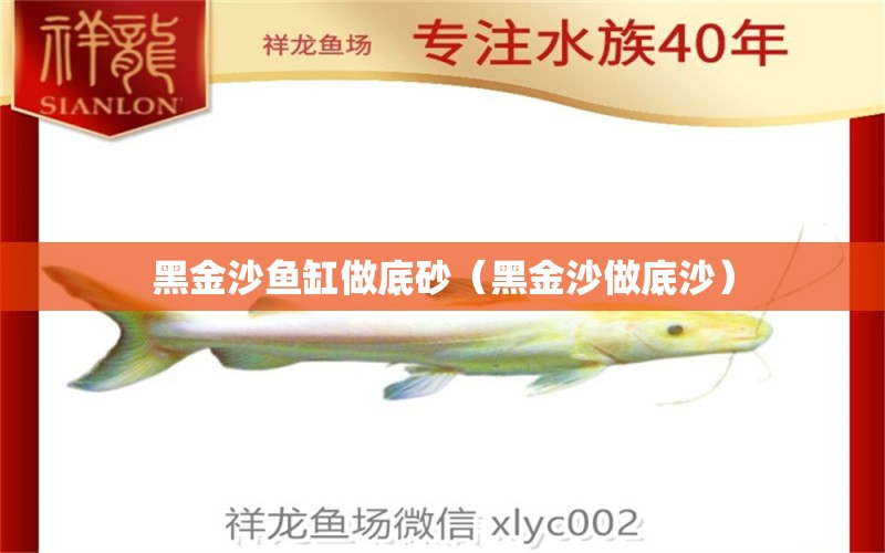 黑金沙鱼缸做底砂（黑金沙做底沙） 祥龙水族护理水