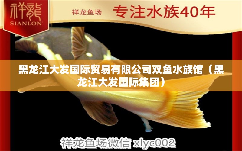 黑龙江大发国际贸易有限公司双鱼水族馆（黑龙江大发国际集团）